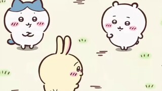 三小只互换身体 看表情猜身份