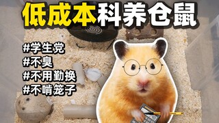 想好好养仓鼠？没钱？别担心，教你便宜又科学地养仓鼠！