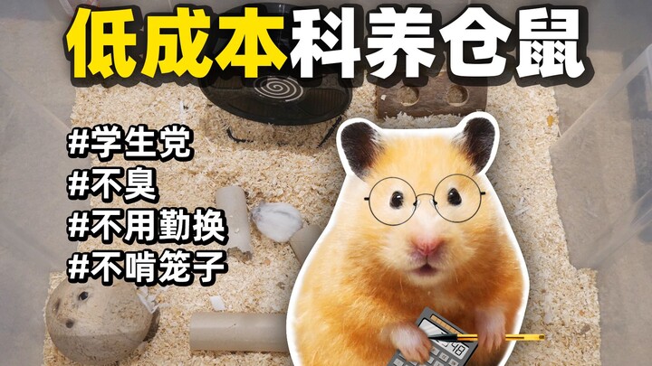 想好好养仓鼠？没钱？别担心，教你便宜又科学地养仓鼠！