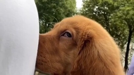 วันนี้ทำไมถึงต้องออกไปข้างนอกล่ะ?