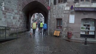 Auf dem Jakobsweg (1_5) - Der harte Weg über die Pyrenäen