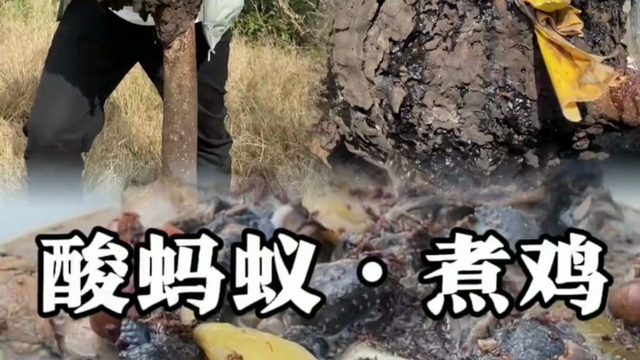 Sajian khas pedesaan “Semut Asam & Ayam Rebus” — yang sudah coba, ayo tunjukkan kebolehanmu!