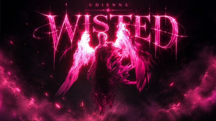 UDIENNX - WISTED