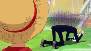 There are no normal people in the Straw Hats series (13)!