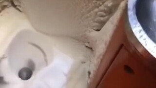 东北冬天的火车厕所