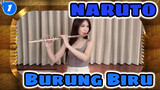 NARUTO|[Blue Bird] Versi Biola & Seruling| cover oleh Annie&Mimi_1