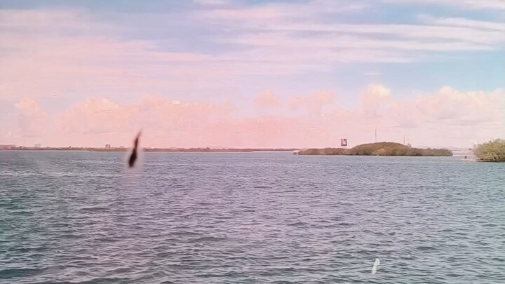 beautiful Sea journey