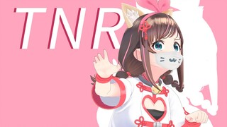 捡个猫！家人们！