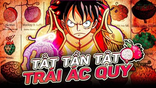 ONE PIECE | TRÁI ÁC QUỶ LÀ GÌ? MẠNH ĐẾN MẤY CŨNG VẪN PHẢI SỢ NƯỚC!?