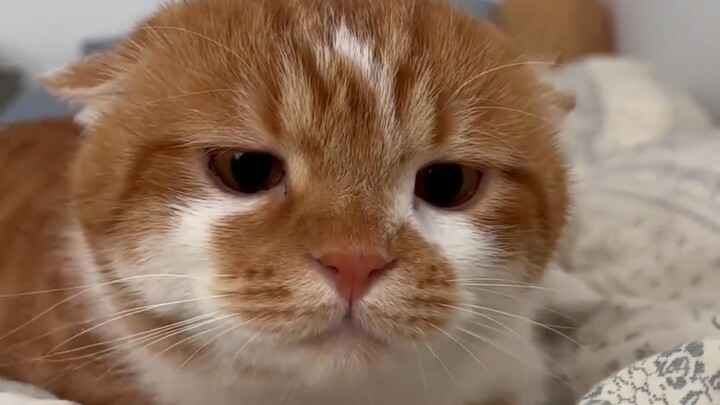 ฉันมาแล้ว!