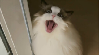 Who understands what it's like stepping out of the bathroom in the middle of the night?