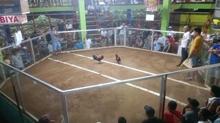 feel the power of blue face hatch