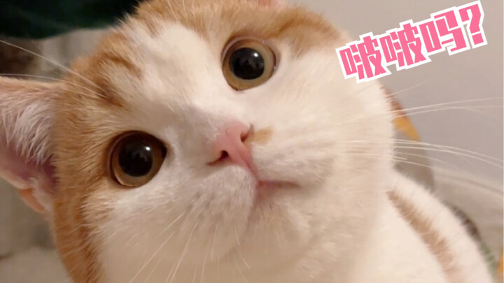 Who could possibly handle this...