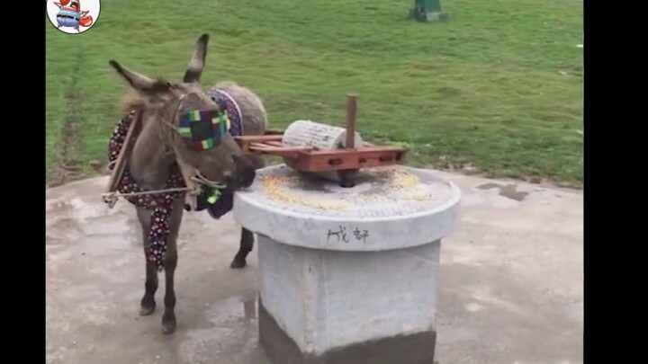 You grind your own mill—can you really handle it?