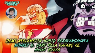 Monkey D Garp Rela Masuk Mulut Buaya Demi Selamatkan Murid Kesayangannya