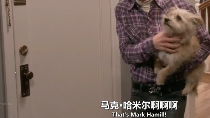 Howard đã đón chú chó của Luke từ Star Wars và "tống tiền anh ta để làm chủ hôn cho đám cưới của She