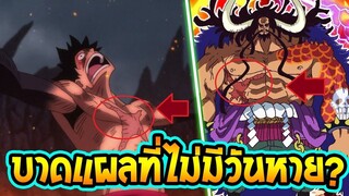 วันพีช  ประเด็นแผล ไคโด & ลูฟี่ ที่ไม่มีวันหาย ! - OverReview