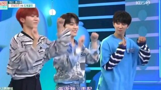 【seventeen】小十七的舞蹈秘方-女团boo闪窝荣上线