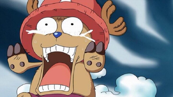 [Partner Bab 2-1] Bagaimana Chopper naik ke kapal bersama Luffy? (Bagian 1)