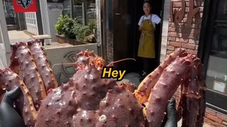 用一只帝王蟹做出三道菜，把蟹肉、蟹壳甚至是蟹腮都用上了，这个螃蟹是一点儿都没浪费啊！