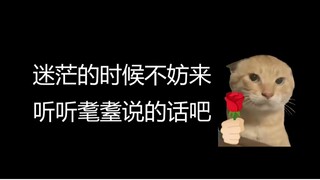 迷茫的时候，不妨进来听听圆头耄耋说的话