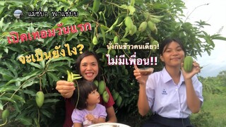 มะม่วงจากต้น ปลาร้าต่อน แกล้มพริกหน่วย | แม่ชบาพาแซ่บบ