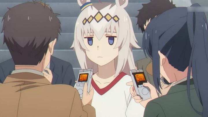 How much does it cost to buy a little chestnut hat?