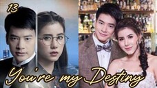 13-You're my Destiny / Tagalog dubbed✔️