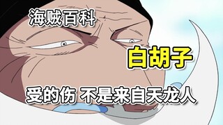 白胡子的“伤”来自罗杰！