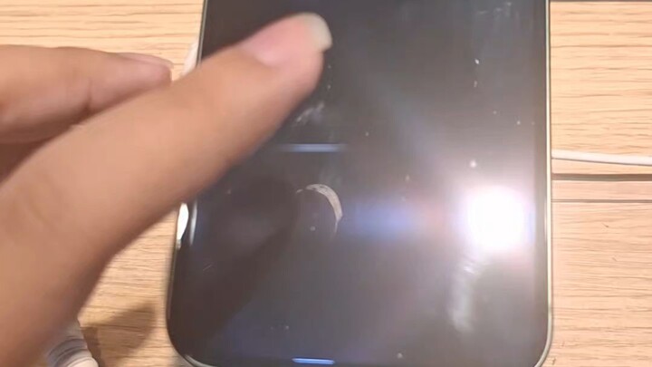 IPhone 13 Touch Screen Problem