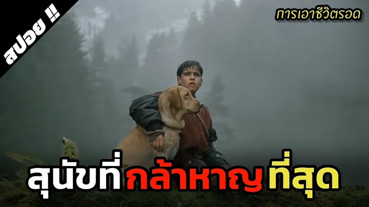 ติดอยู่ในป่ากับสุนัขนาน17วัน | Far From Home The Adventures Of Yellow Dog | 1995 | สปอยหนัง