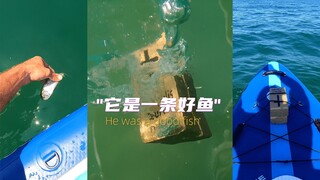 “它是一条好鱼” 🐟