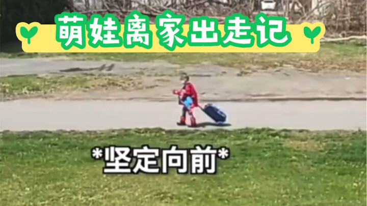 Bữa sáng không đường khiến bé cưng không chịu nổi, nhõng nhẽo bỏ nhà ra đi. Chưa ra khỏi sân đã vội 
