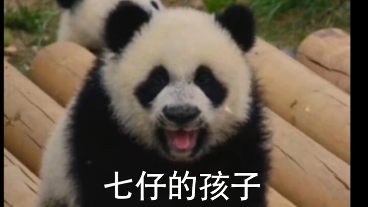 งั้นหมึกของชีจ้ายก็เก็บไว้ให้ลูกชายตัวเองใช่ไหม?