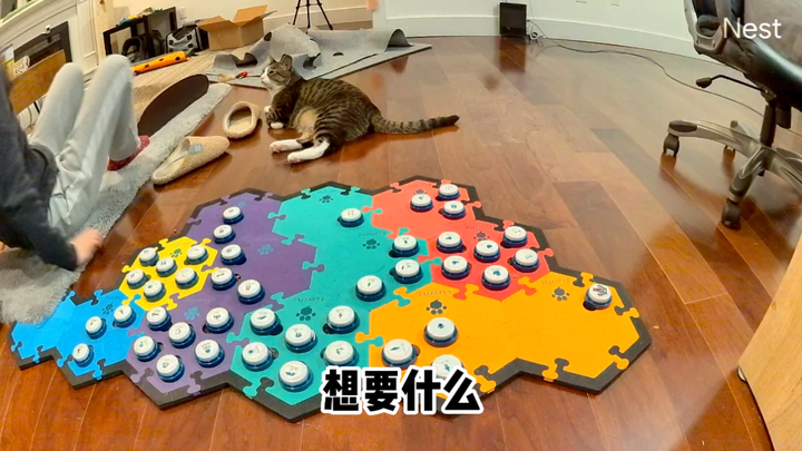 Can you tell from my half-hearted reply that my brain is about to snap from all the annoyance? [Soul