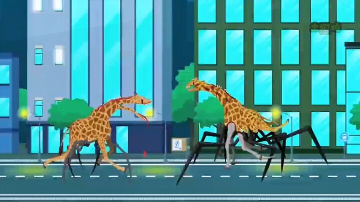 Giraffes of different evolutions!