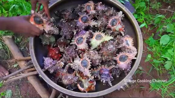 masakan kerang ala prindavan