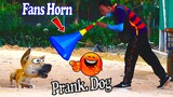 Must Watch Funny Video Fans Horn vs Dog Prank Very Funny Without Stop Laughing