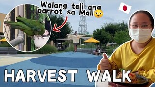 OYAMA HARVEST WALK 🇯🇵 | YUNG PARROT NAKAWALA LANG SA MALL 😲