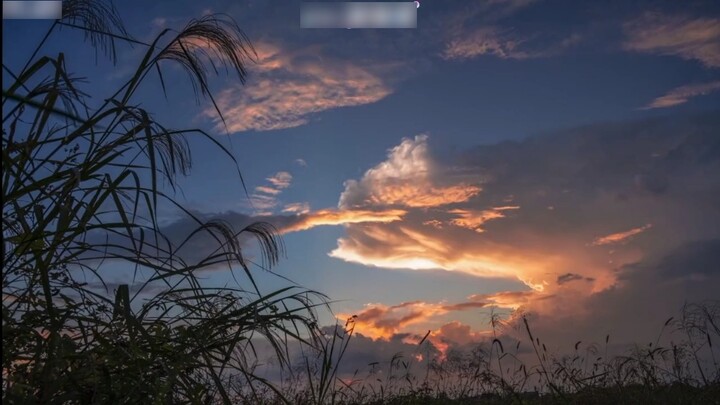 It's a clear boyish voice...