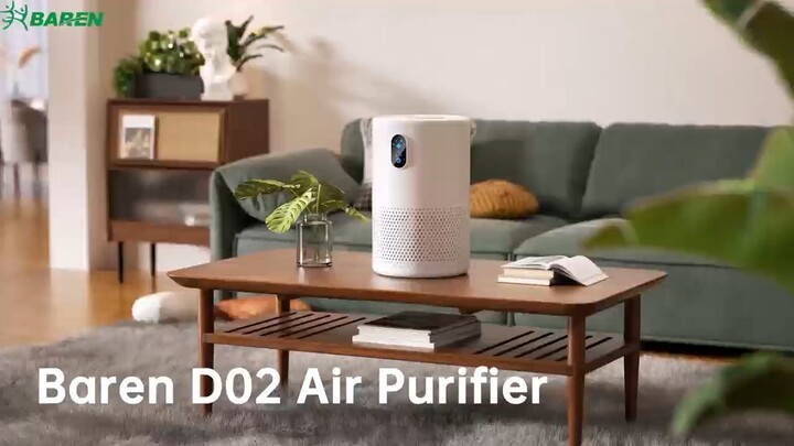 Air Purifier Model D02