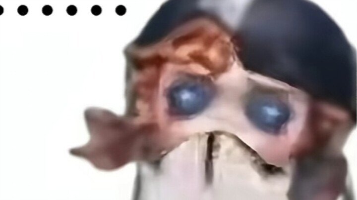 อย่างที่ทุกคนรู้กันดี นักเชียร์ลีดเดอร์ไม่เหมือนผู้รอดชีวิตคนอื่น…