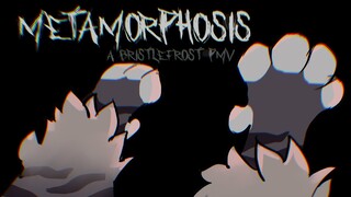 Metamorphosis | A Bristlefrost PMV