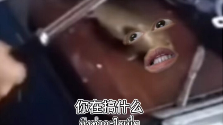 Theo yêu cầu của người hâm mộ, lên tiếng thay cho cá