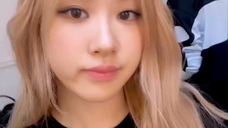 230522 roses_are_rosie: