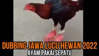 AYAM PAKAI SEPATU | DUBBING JAWA LUCU