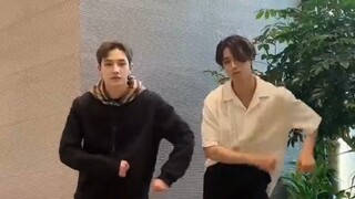 【Stray Kids】tiktok 《jiggle jiggle》ฮัน จื้อเฉิง เข้านอนได้แล้ว!