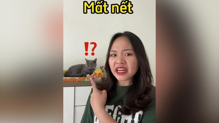 Xịt khử mùi không có mùi nhưng lại khử mùi LearnOnTikTok mèo cat meohay thaomeo mẹohay