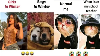 😂School Memes😂🤣เฮฮามีม🤣😆Relatable Memes😆😁Memes ที่มีแต่นักเรียนเท่านั้นที่จะเข้าใจ😄407