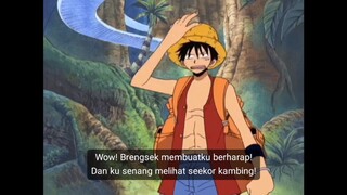 Aho Baka Song Luffy